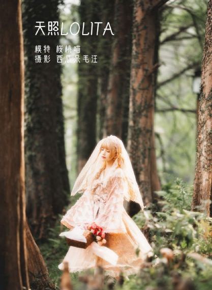 千寻小姐_1080免费观看韩国